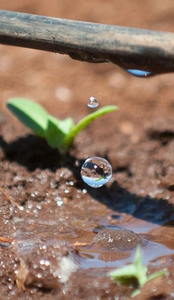 Droplet Image