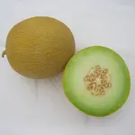 Fluvia F1 Melon