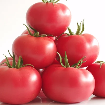 Manistella F1 Tomato