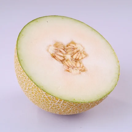 Zepo F1 Melon