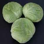 Cabbice F1 Product