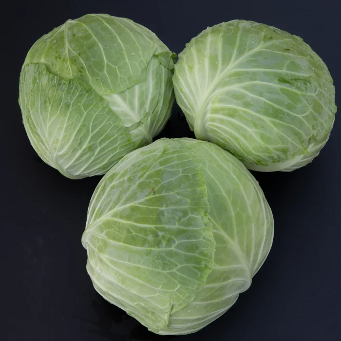 Cabbice F1 Product