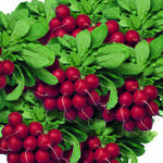 Charito F1 Product