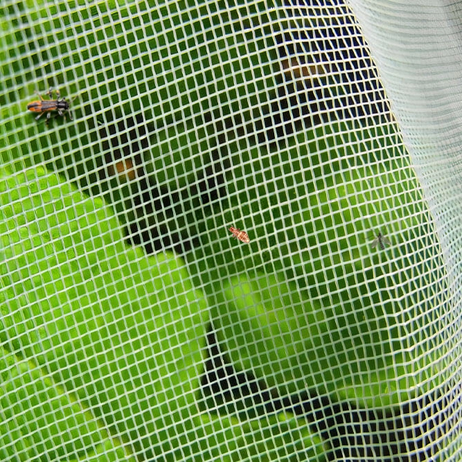 Anti-Insect Net