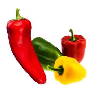 Pepper Subcategory Description Image