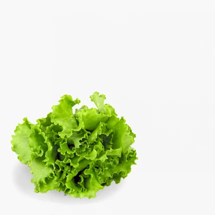 Lettuce Subcategory Image