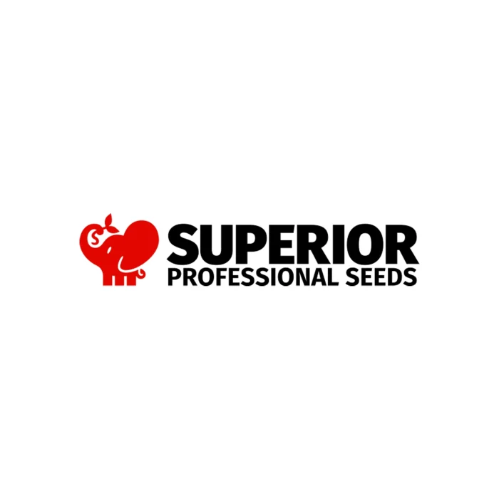 Superior Logo